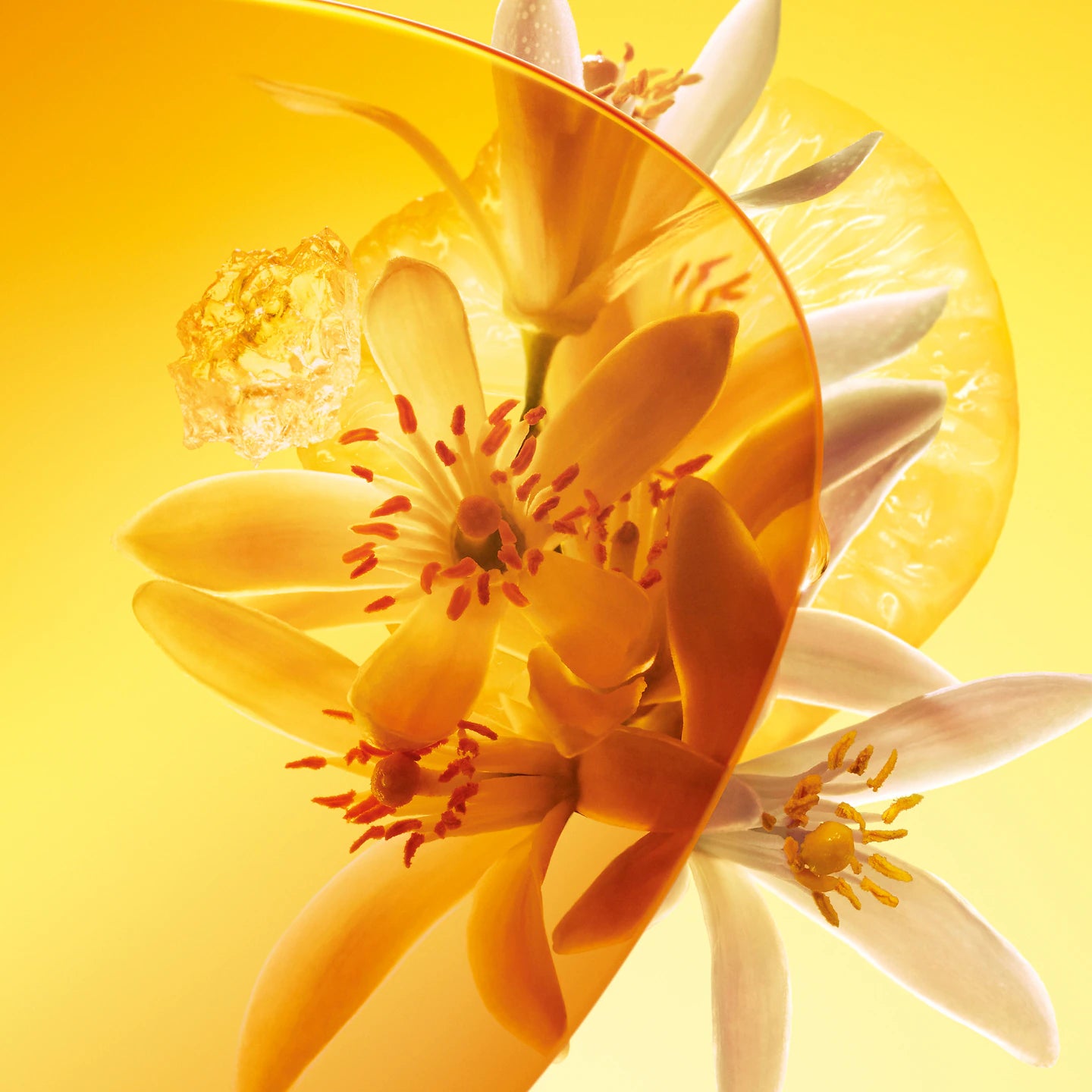 Louis Vuitton Parfum Sun Song 100ML