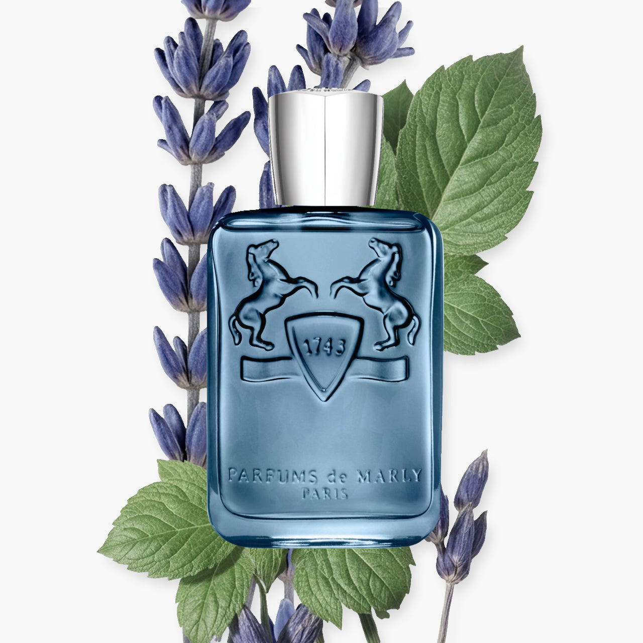 Marly Parfum SEDLEY 75ML
